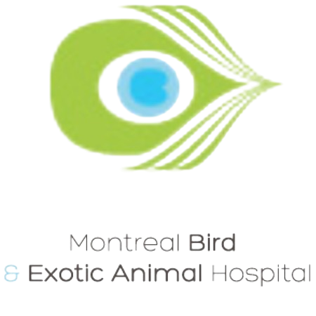 Hospital for Birds & Exotic animals logo